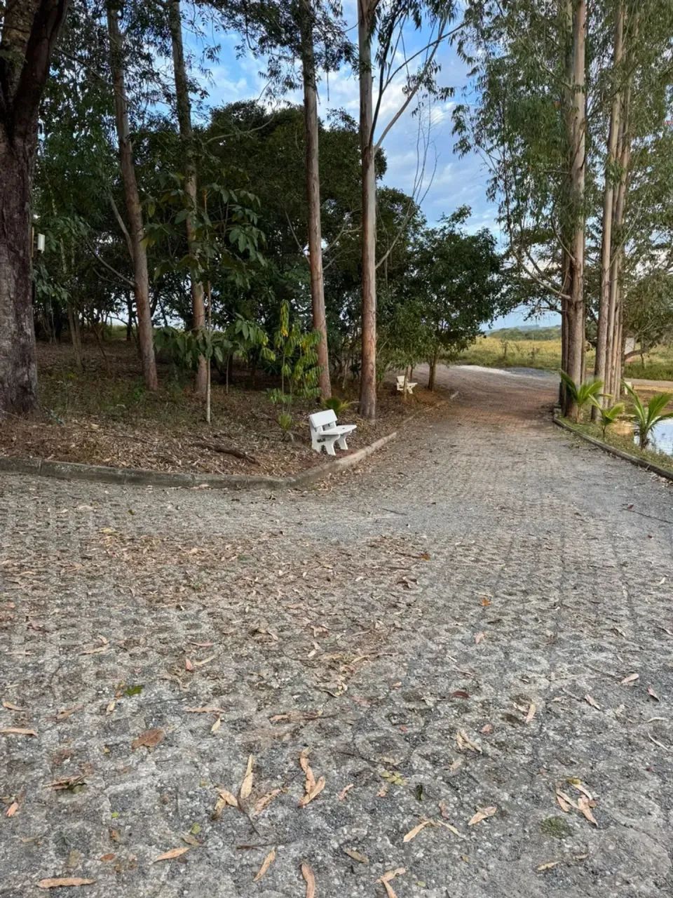 Chácara Corumbá IV no condomínio Sol e Lua - Foto 4
