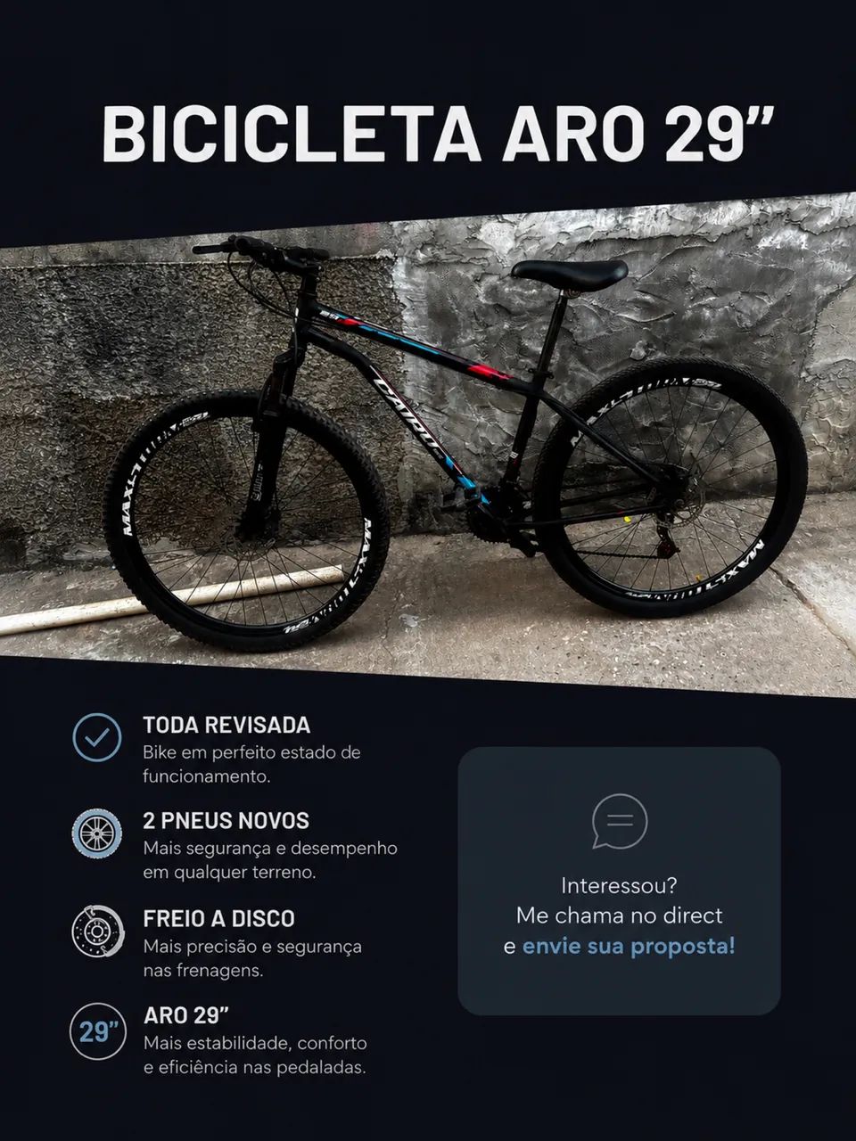 Bicicleta 