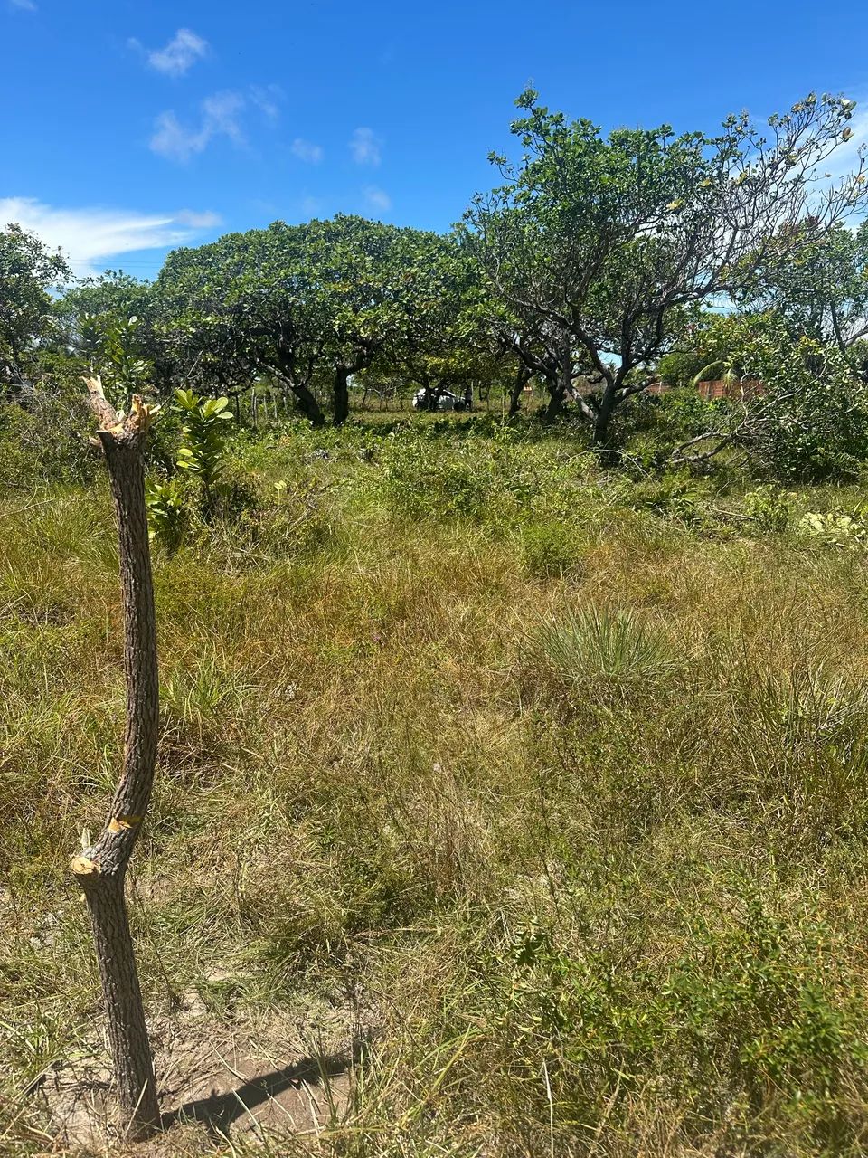 Terreno 10x50 em paracuru - Foto 3