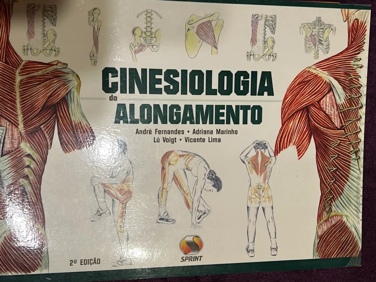 Cinesiologia do Alongamento