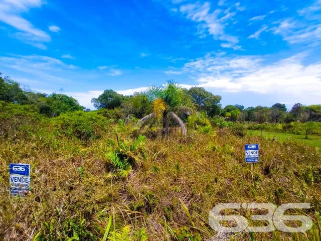 Terreno | São Francisco do Sul | Ervino - Foto 4