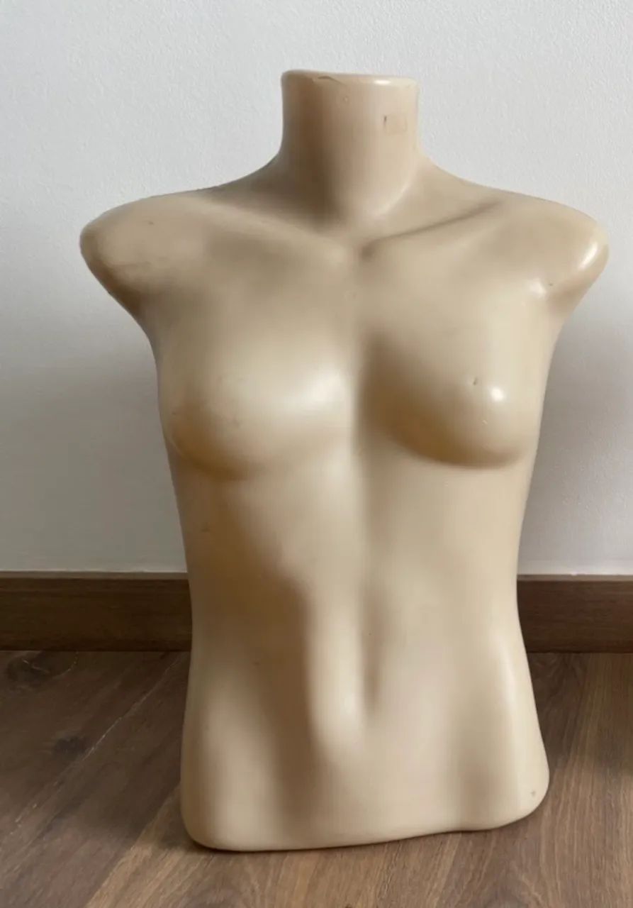 Busto de manequim feminino 