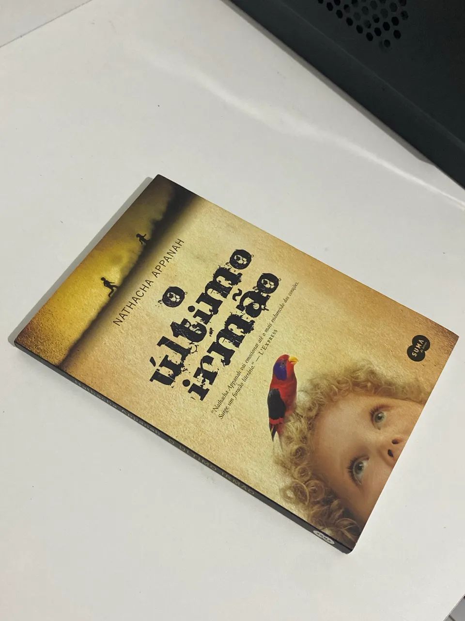 O último Irmão - Ótimo estado 