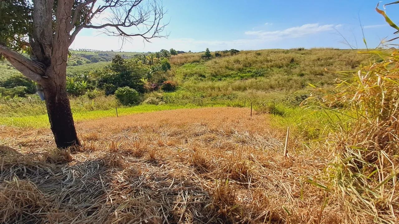 Terreno a 2 minutos da Lagoa do Siri - Foto 4