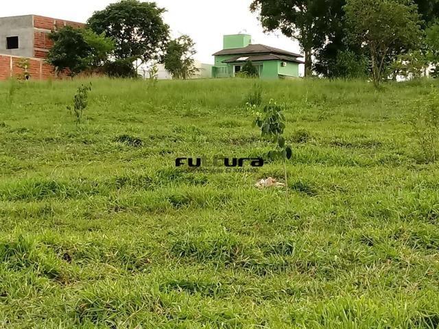 Lote - Residencial Humaitá - Foto 3