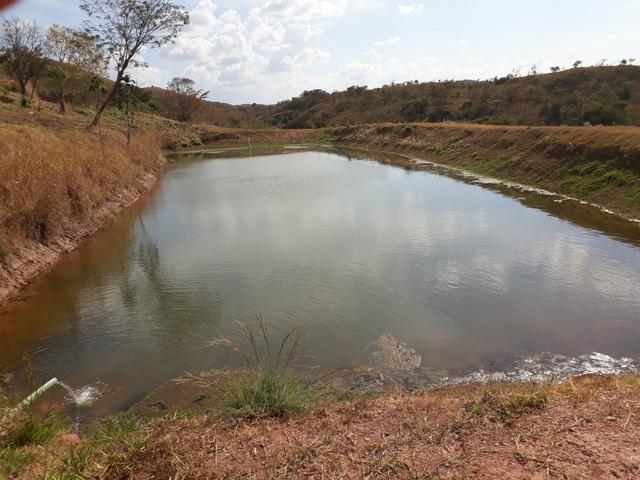 Oportunidade!! Vendo excelente fazenda em Formosa Goiás, com 168 hectares com muita água - Foto 15