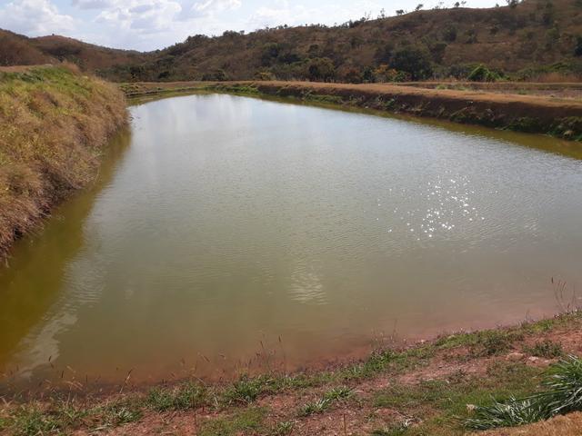 Oportunidade!! Vendo excelente fazenda em Formosa Goiás, com 168 hectares com muita água - Foto 7