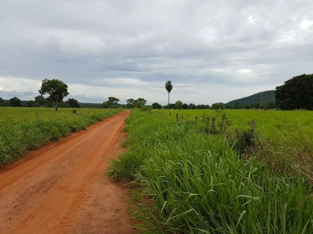 Fazenda de 34385 hectares em MT - Foto 7