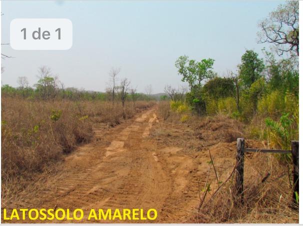Fazenda 236 Alqueires ( 1.144 hectares) Barra do Garça-MT \ Nova xavantina - Foto 14