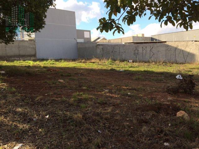 Terreno para alugar, 600 m² por R$ 2.500,00/mês - Capão Raso - Curitiba/PR - Foto 6