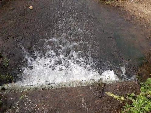 Excelente fazenda em Guapimirim oportunidade!!! - Foto 12