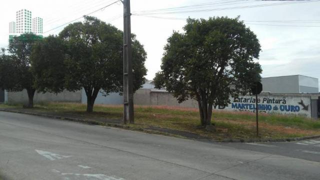 Terreno para alugar, 600 m² por R$ 2.500,00/mês - Capão Raso - Curitiba/PR