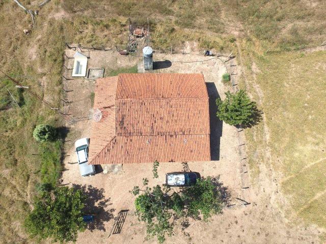 50 Alq. Beira Rio | 120 km Goiânia. (leia o anuncio) - Foto 15