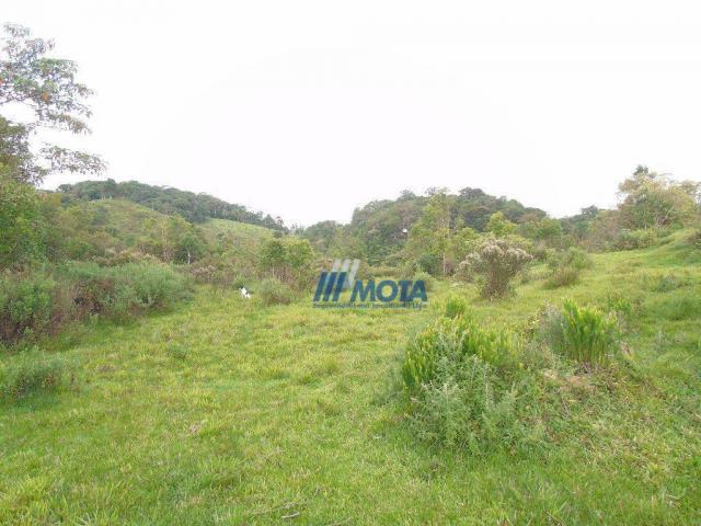 Sítio à venda, 354712 m² por r$ 250.000,00 - miringuava - são josé dos pinhais/pr - Foto 15