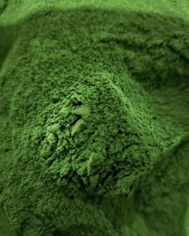 Moringa oleifera. farinha da moringa oleifera. 400g. frete grátis