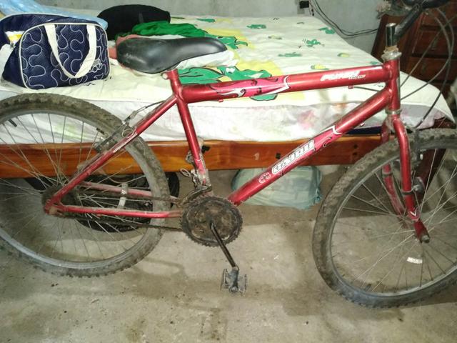 Baick - Foto 2