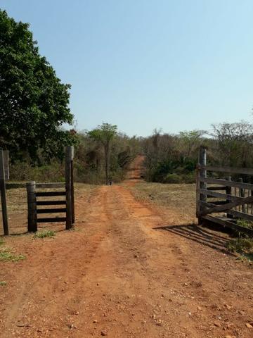 Fazenda a 82 Km de Cuiabá-MT próximo a Acorizal - Foto 5