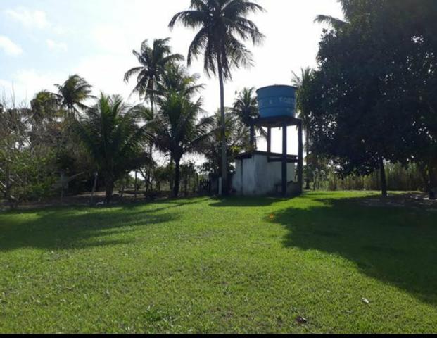 Fazenda em Mata de São João. BA - Foto 5