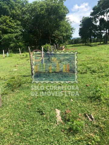 Exelente Fazenda no Municipio De Cuiabá - Foto 16