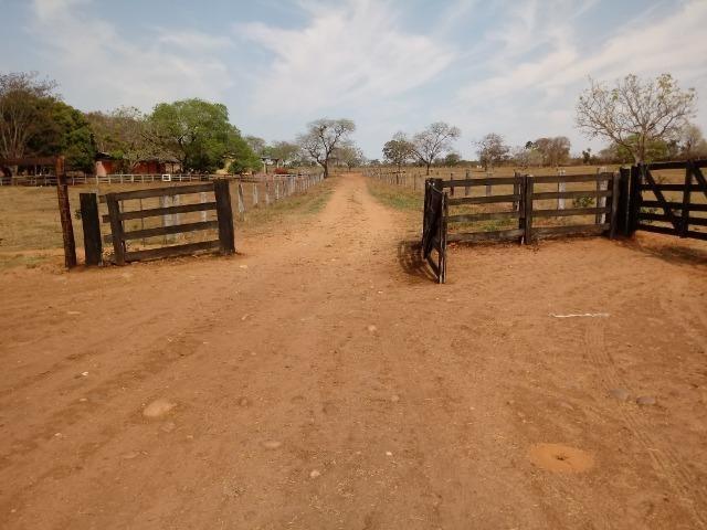Fazenda Com 1.100 hectares Lago do Manso - Foto 3