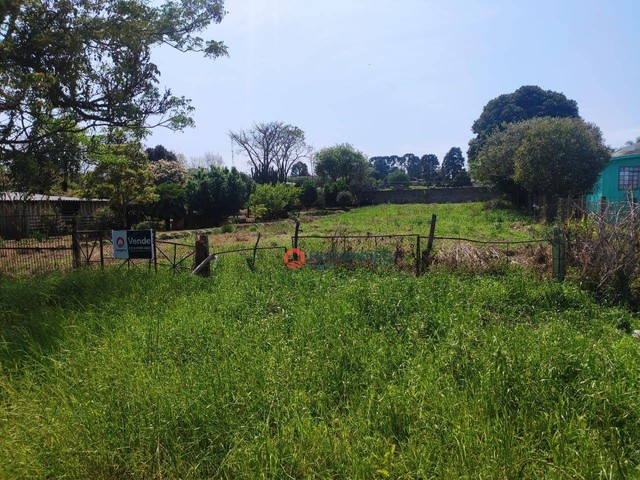 Terreno à venda, 800 m² por R$ 200.000,00 - Rural - Entre Rios (Guarapuava)/PR - Foto 2