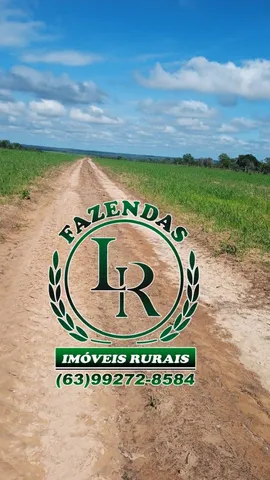 Fazenda 858 Alqueires Dupla Aptidão no Tocantins