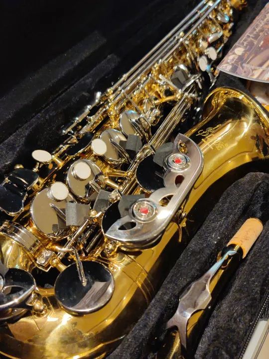 Sax Saxofone Alto Conservatório Escola de Música Universidade - Foto 2