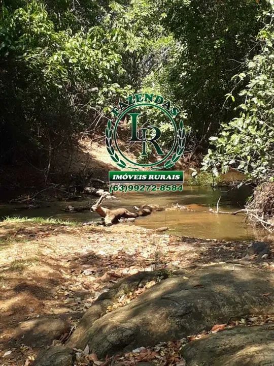 Fazenda 35 Alqueires Dupla Aptidão - Foto 5