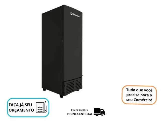 Freezer Vertical Porta Cega Novo