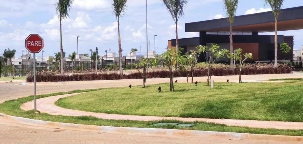 Foto - Goiânia - Jardim Presidente