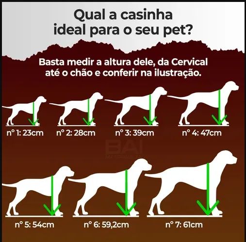Casinha de Cachorro de Madeira Tamanho 3  - Foto 5