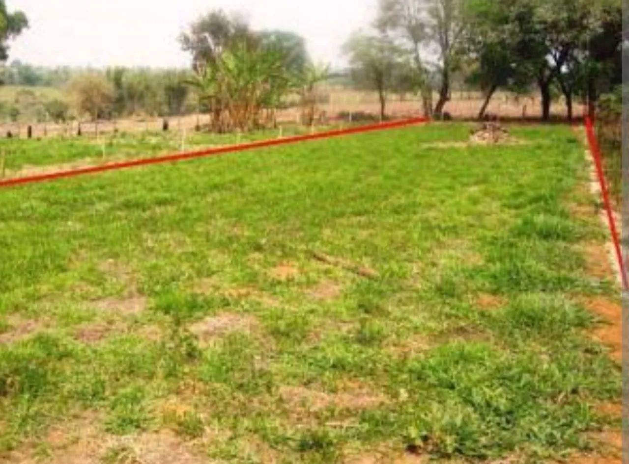 Foto - Rio Branco - Quinze