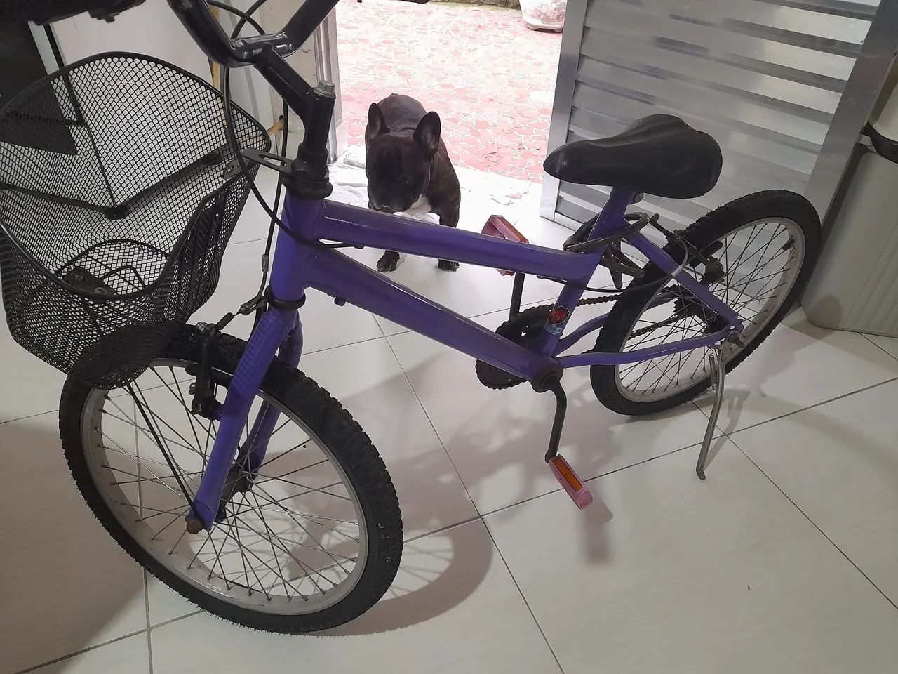 Bicicleta Aro 20 Roxa com Cesta