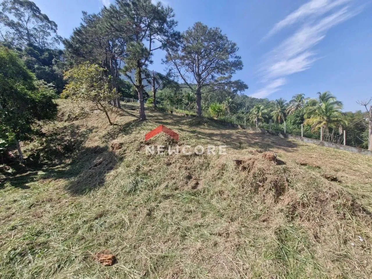 Lote em Avenida gov. Mário Covas junior - BORRIFOS - Ilhabela/SP - Foto 2