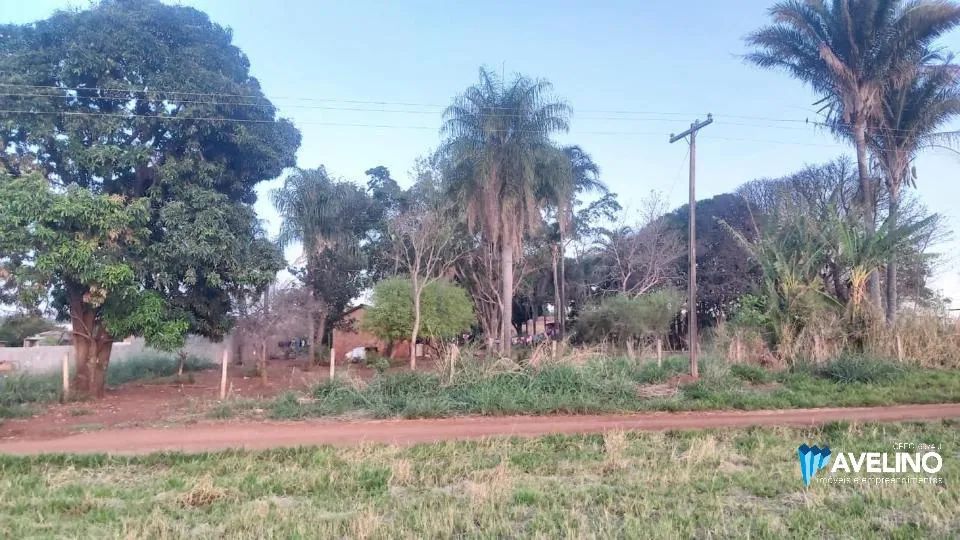 Area em frente a BR em Jaraguari - Foto 5