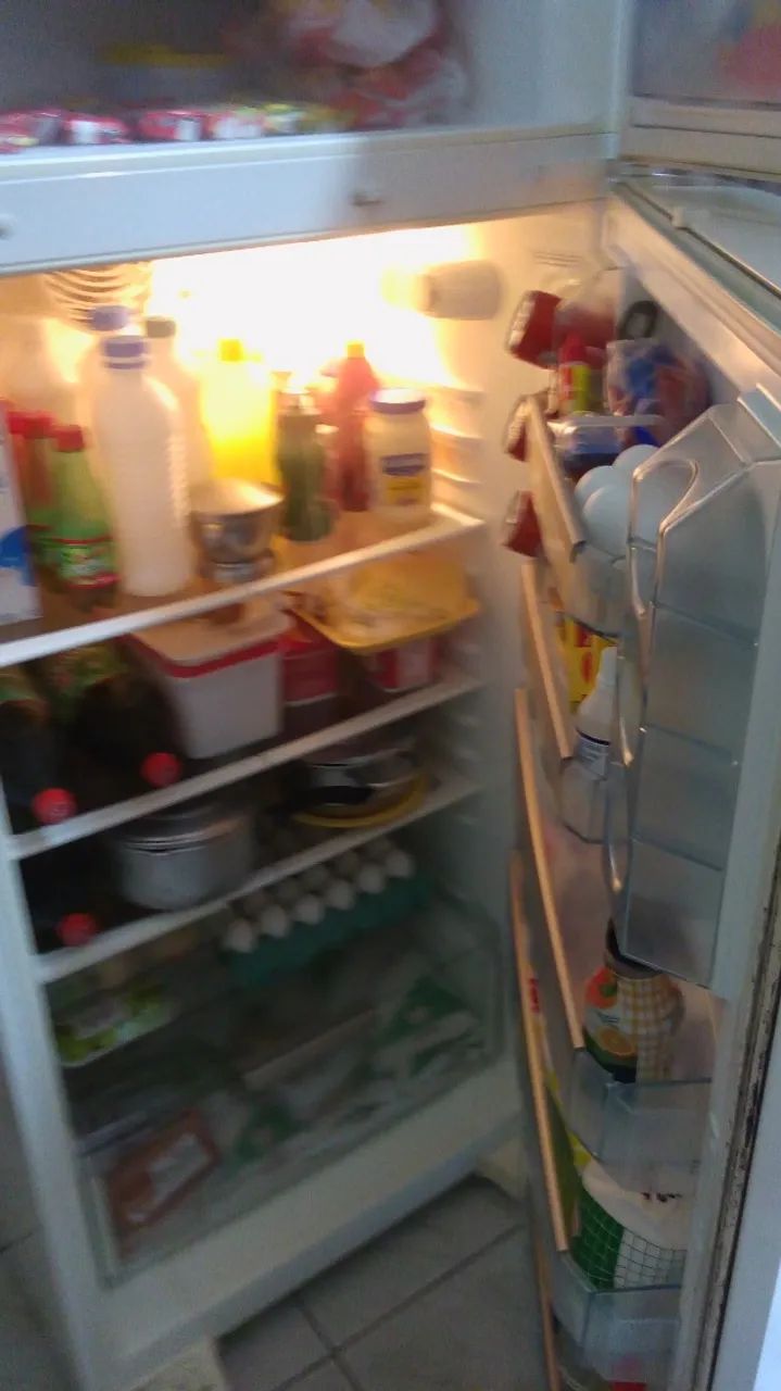 Geladeira Duplex Bosch 497 Litros Enorme e Perfeita - Foto 2