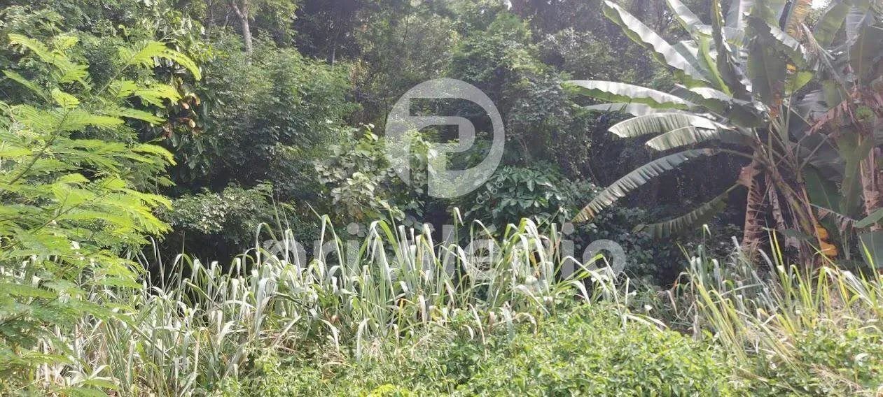 Terreno à venda, Freguesia (Jacarepaguá) - RIO DE JANEIRO/RJ - Foto 5