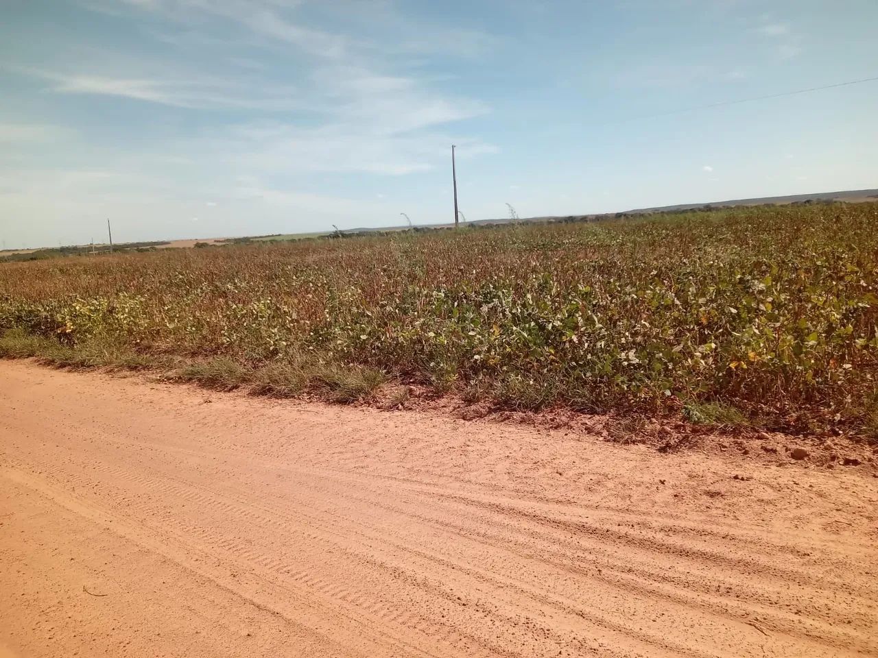 Fazenda de arrendamento 710 hec em Paranatinga MT. - Foto 4