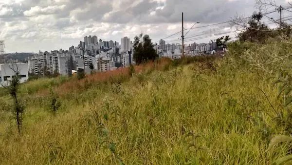 Venda Commercial / Land Lot Belo Horizonte MG - Foto 5