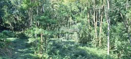 Chácara à venda, 31972 m² por R$ 980.000,00 - Piratininga - Niterói/RJ - Foto 4