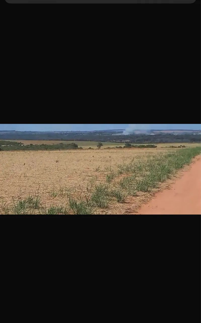 Fazenda em campo florido  - Foto 4