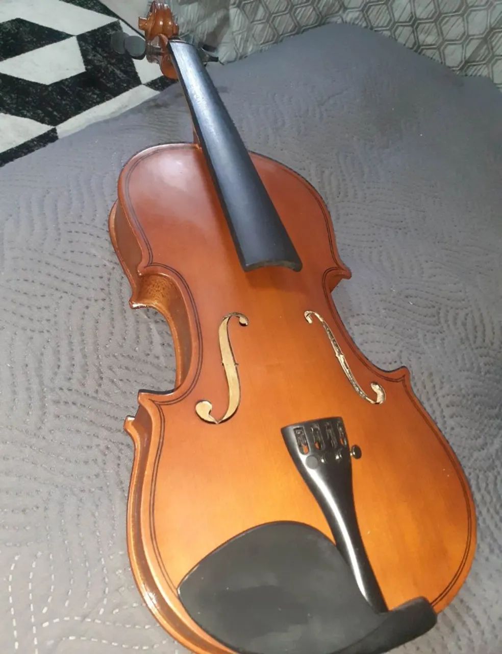 Violino 4/4 Parrot Usado - Foto 2