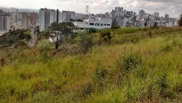 Venda Commercial / Land Lot Belo Horizonte MG - Foto 3