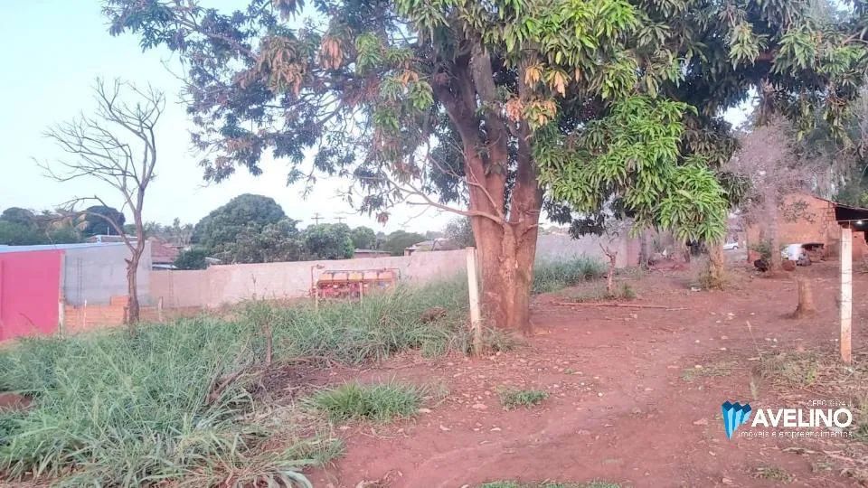 Area em frente a BR em Jaraguari - Foto 4