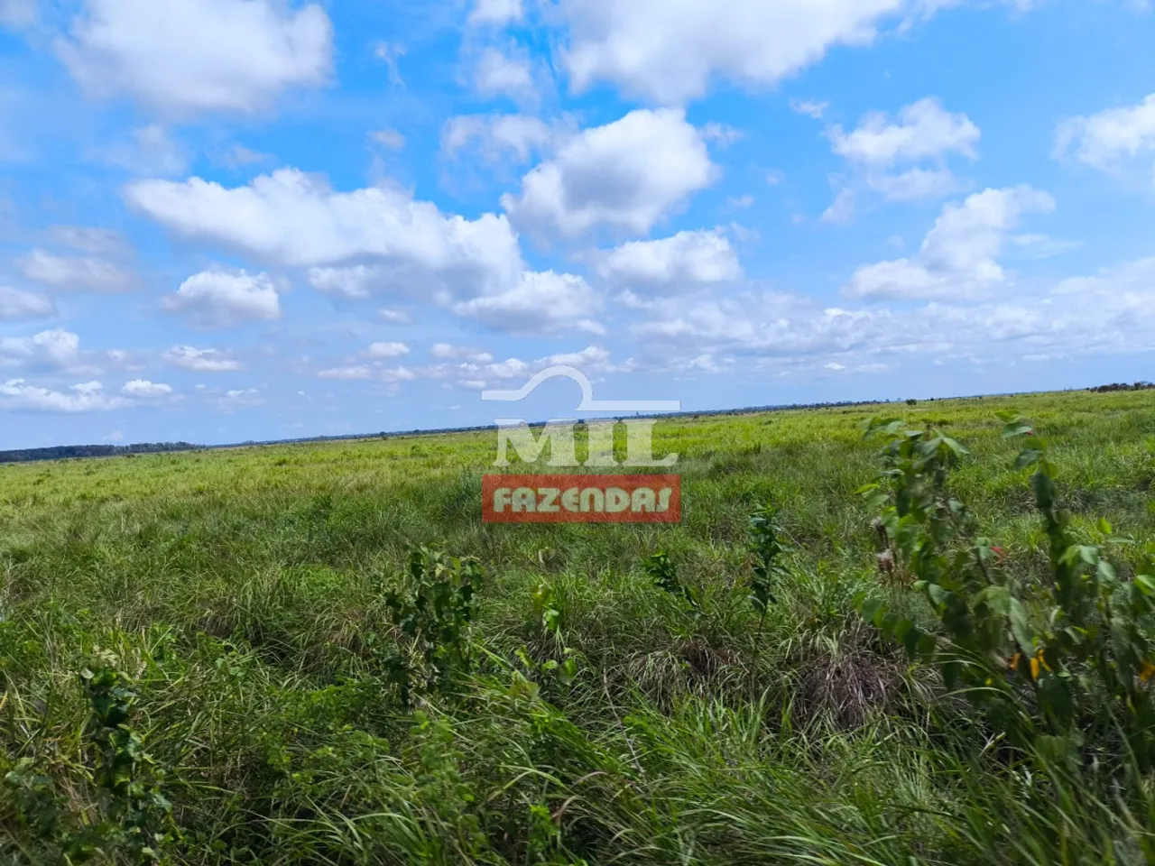 Fazenda 450 Alqueires (2.178 Hectares) Santana do Araguaia - PA