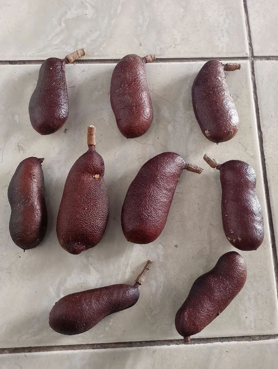 FRUTO JATOBÁ 