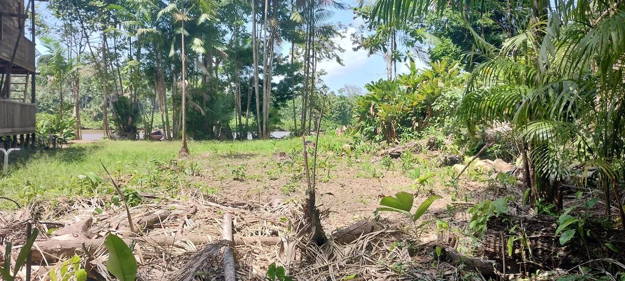 TERRENO NO MATAPÍ - Foto 5