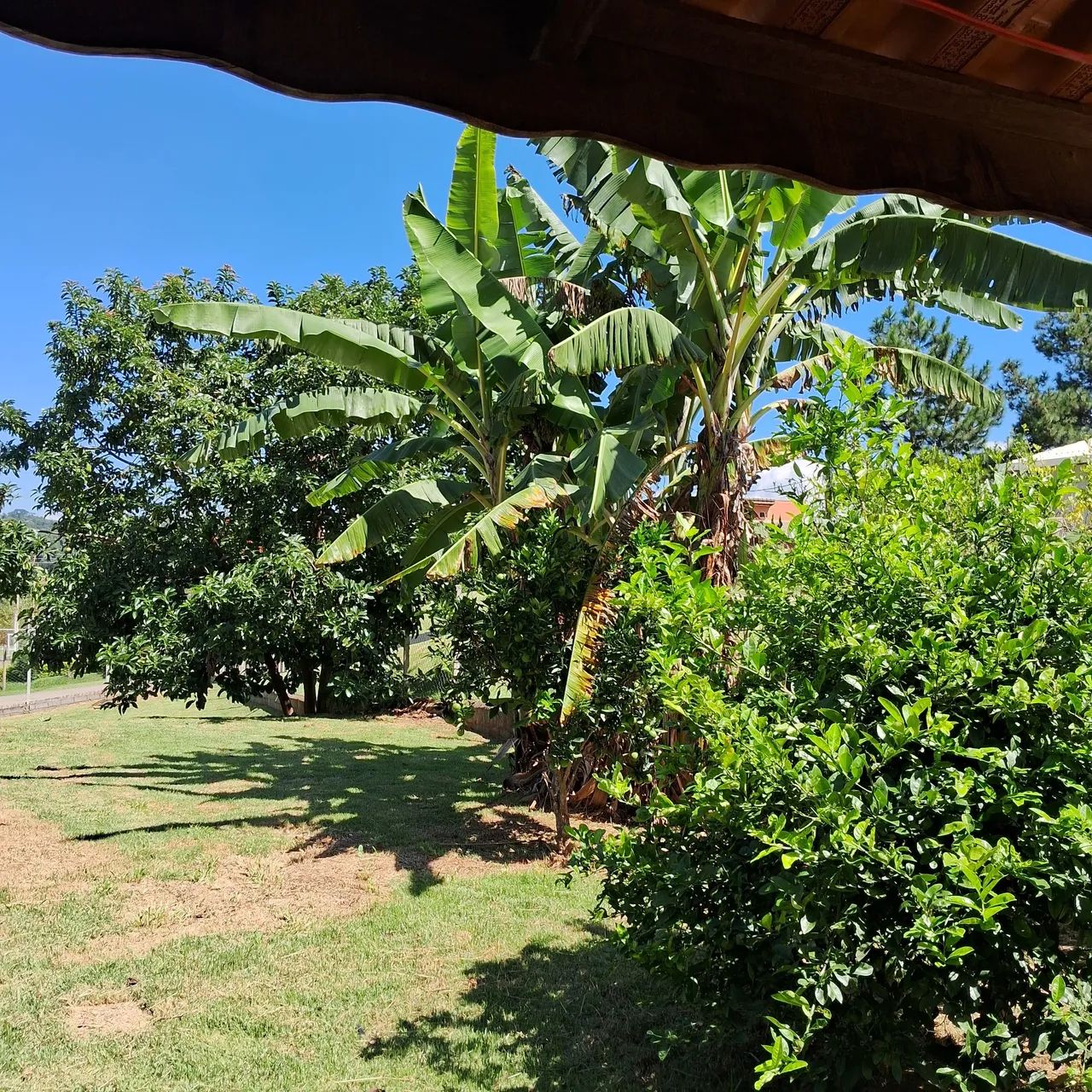 Chácara recreio campo verde ibiuna - Foto 2