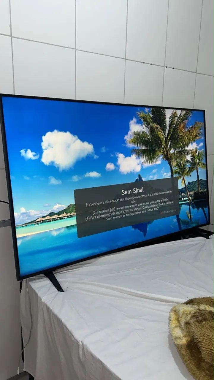 Televisão 