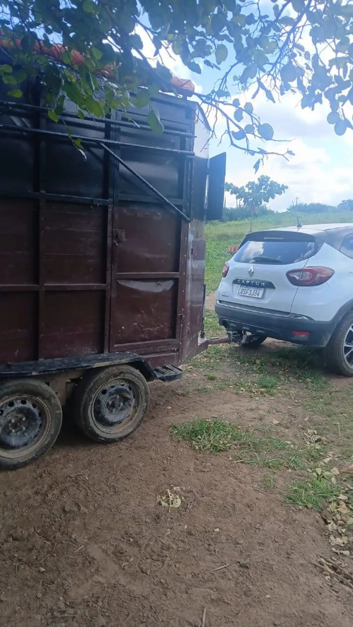 Trailer vaquejada reboque - Foto 4